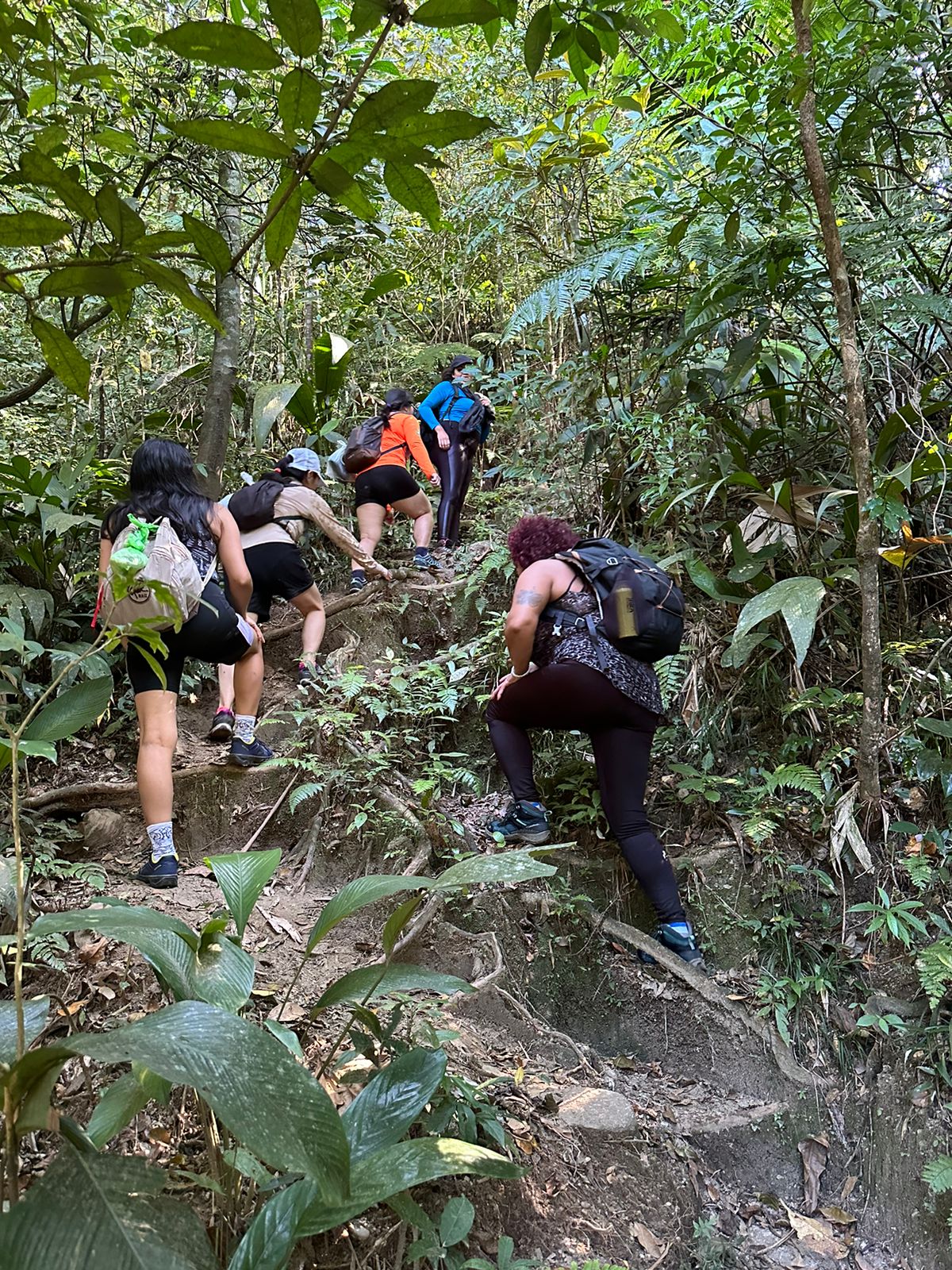 WhatsApp Image 2025-01-02 at 13.39.02