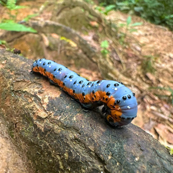 Design sem nome (21)