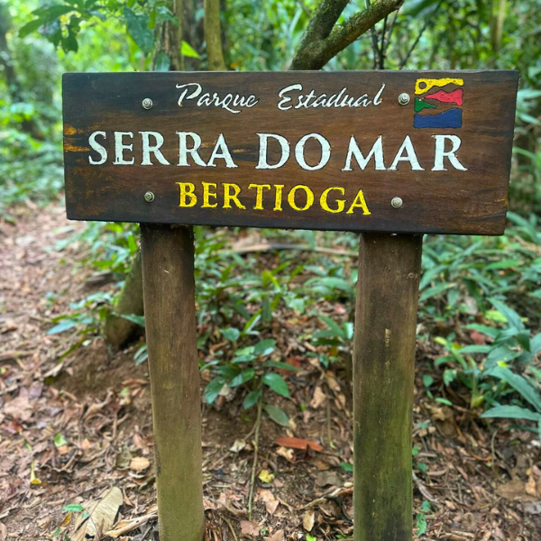 Design sem nome (22)